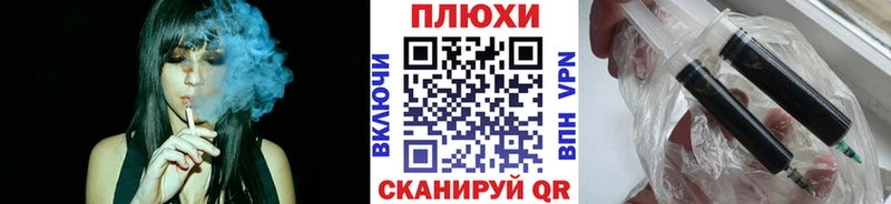 kraken как войти  хочу   Павловск  ГАШ Изолятор 